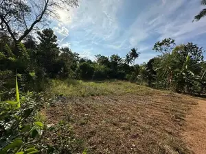 Land for Sale in Polonnaruwa