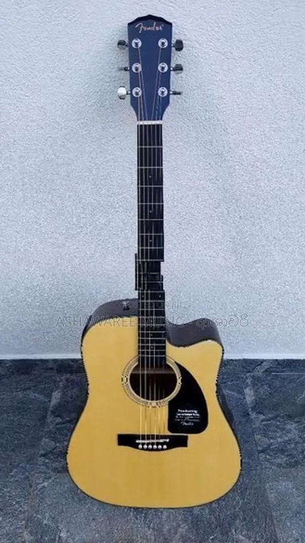 Fender Semi Acoustic Box Guitar