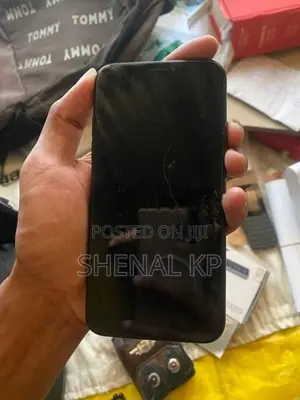 Apple iPhone X (Used)