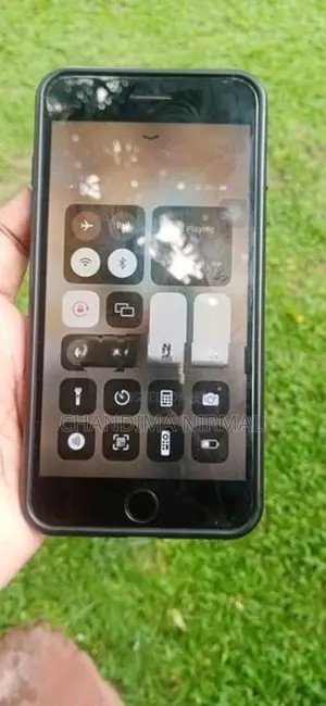 Apple iPhone 8 Plus (Used)