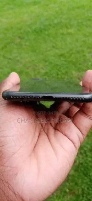 Apple iPhone 8 Plus (Used)