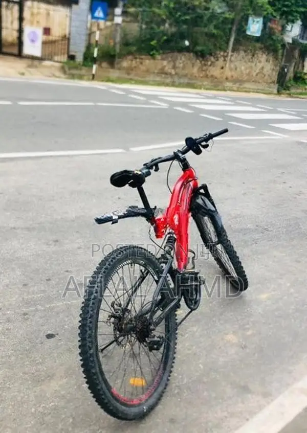 Lumstar MTB Bicycle