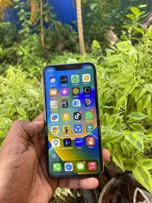 Apple iPhone X (Used)