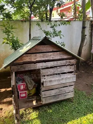 Dog Cage