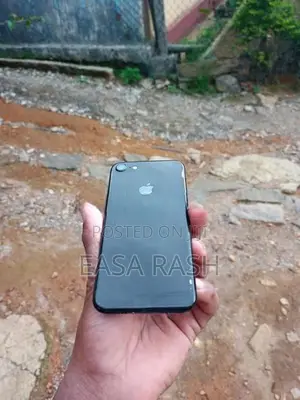 Apple iPhone 7 (Used)