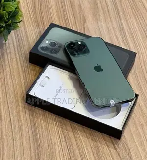 Apple iPhone 13 Pro Max 1TB (Used)