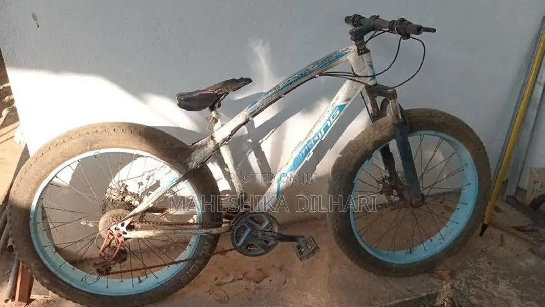 Bicycle