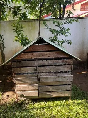 Dog Cage