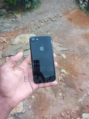 Apple iPhone 7 (Used)
