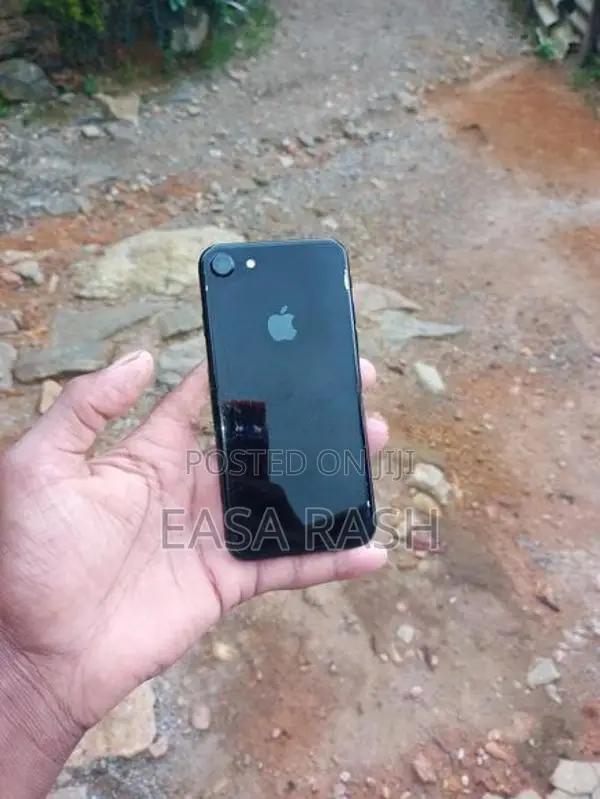 Apple iPhone 7 (Used)