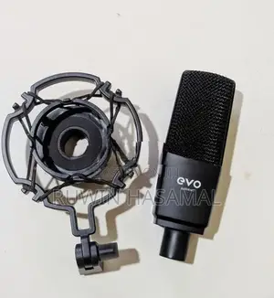 Audient Evo Sr1 Condensor Microphone