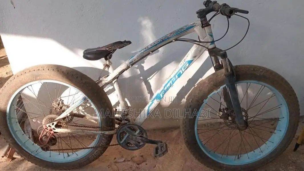 Bicycle