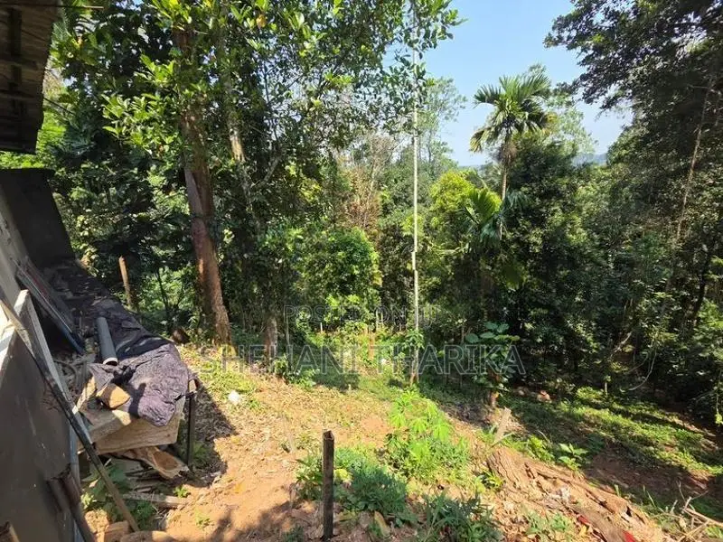 Land With House for Sale Kandy