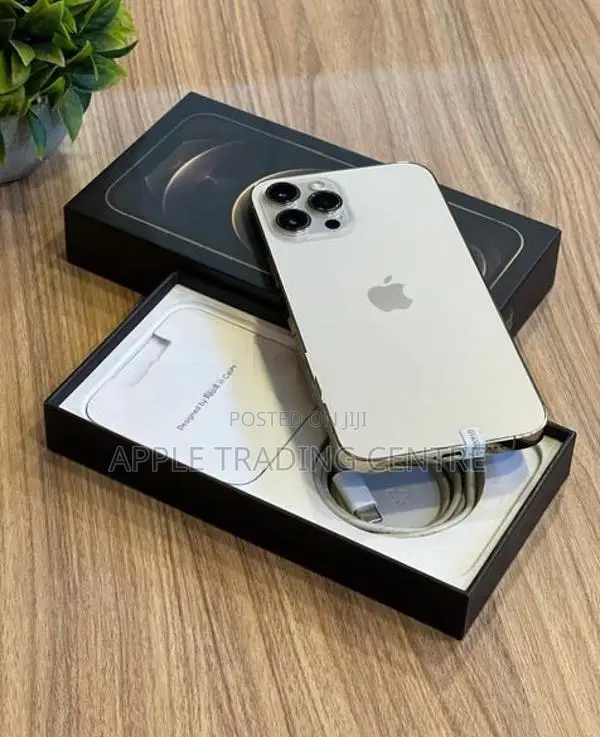 Apple iPhone 12 Pro Max 128GB (Used)