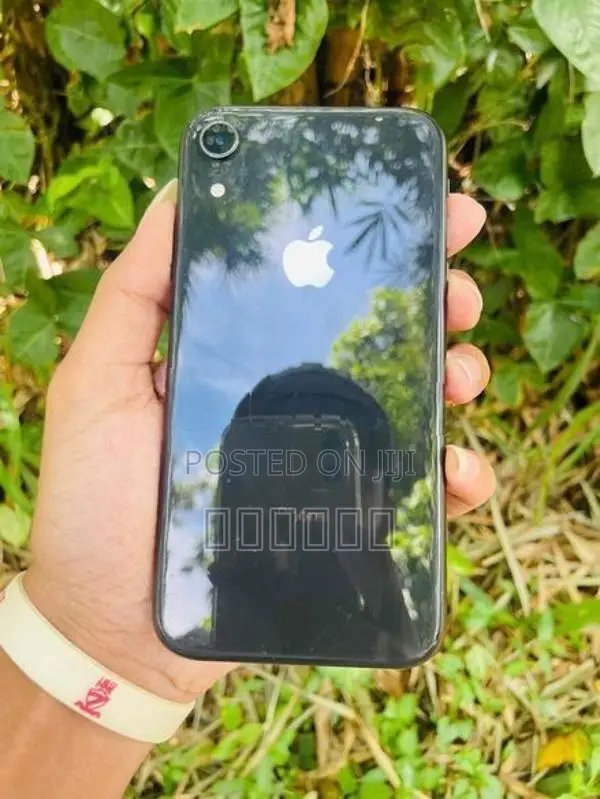 Apple iPhone XR (Used)