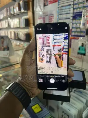 Apple iPhone 13 Pro Max (Used)