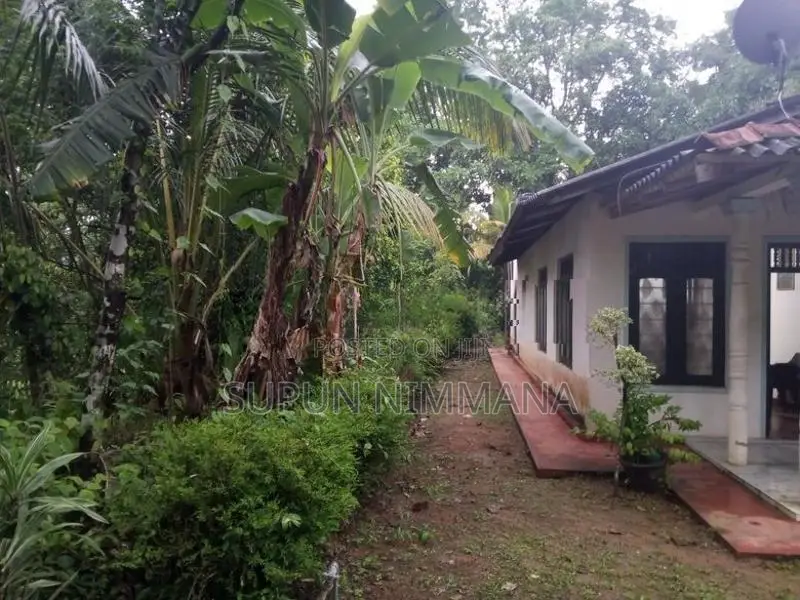 House with Land for Sale Balangoda