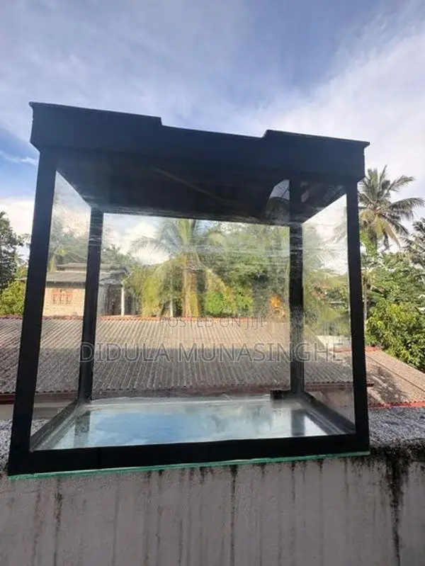 Fish Tank