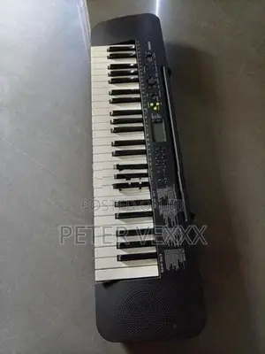 Casio CTK 245 Keyboard
