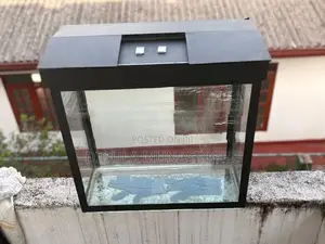 Fish Tank