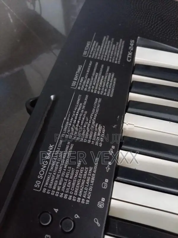 Casio CTK 245 Keyboard