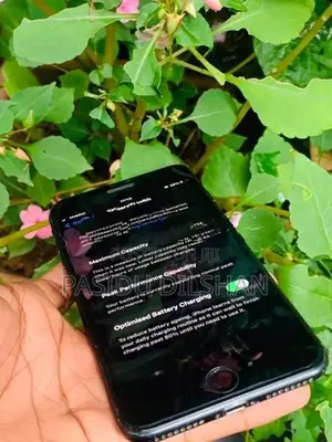 Apple iPhone 7 Plus (Used)