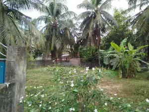 Land for Sale - Trincomalee