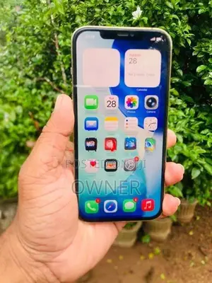 Apple iPhone 12 Pro Max (Used)