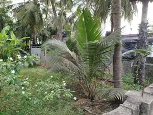 Land for Sale - Trincomalee