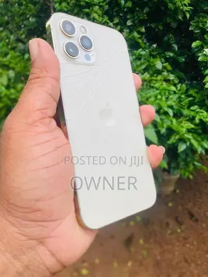 Apple iPhone 12 Pro Max (Used)