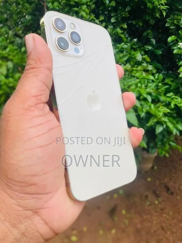 Apple iPhone 12 Pro Max (Used)
