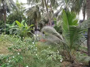 Land for Sale - Trincomalee