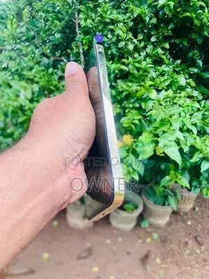 Apple iPhone 12 Pro Max (Used)