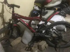 DSI Bicycle