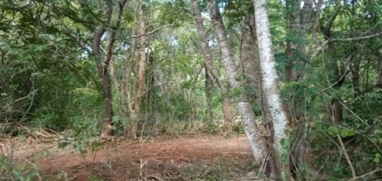 කතරගමින් අක්කරයක් විකිණීම