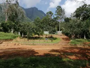 Beautiful Land for Kalupahana