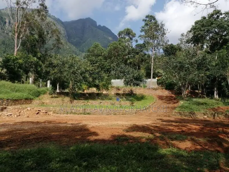 Beautiful Land for Kalupahana