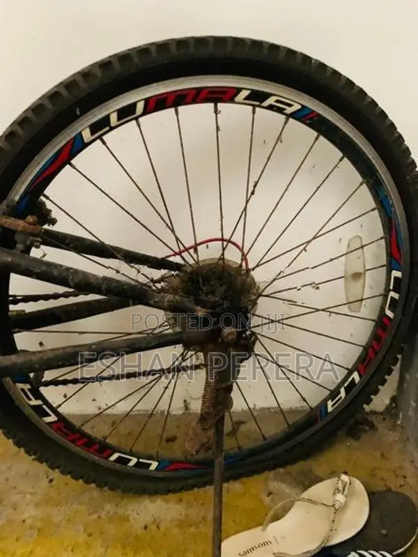 Lumala Bike