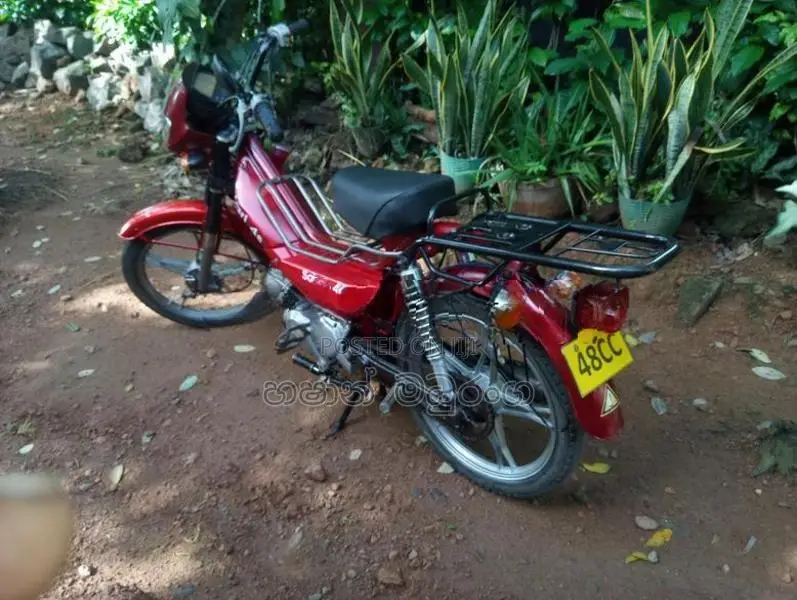 Kinetic Safari 48 2016