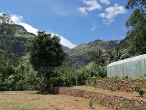 Beautiful Land for Kalupahana