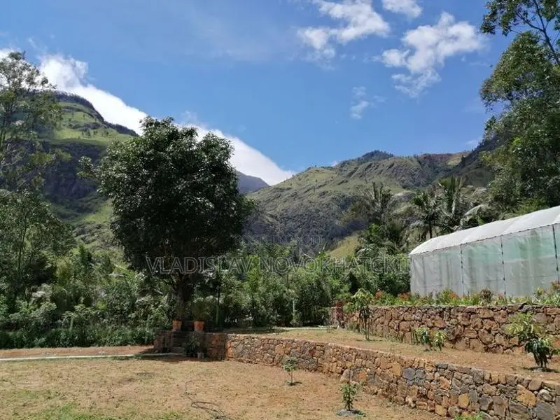 Beautiful Land for Kalupahana