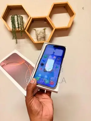 Apple iPhone 16 Pro Max 256GB (Used)