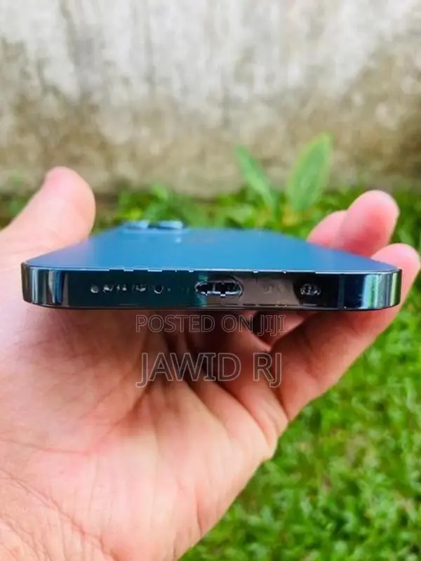 Apple iPhone 12 Pro Max (Used)