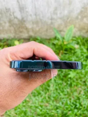 Apple iPhone 12 Pro Max (Used)