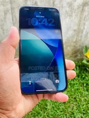 Apple iPhone 12 Pro Max (Used)