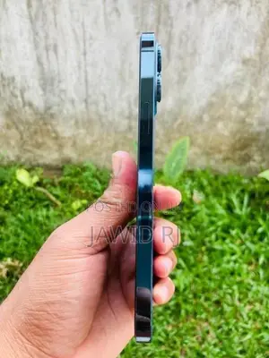 Apple iPhone 12 Pro Max (Used)