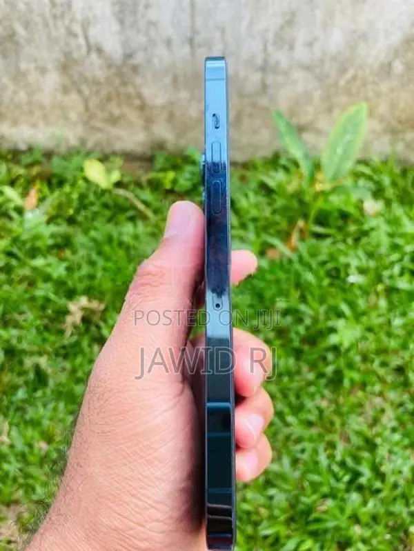 Apple iPhone 12 Pro Max (Used)