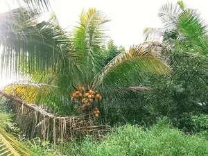 Land with House for Sale Nelundeniya