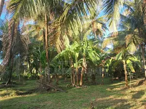 ඉඩමක් විකිණීමට කුරුණෑගල