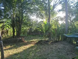 ඉඩමක් විකිණීමට කුරුණෑගල